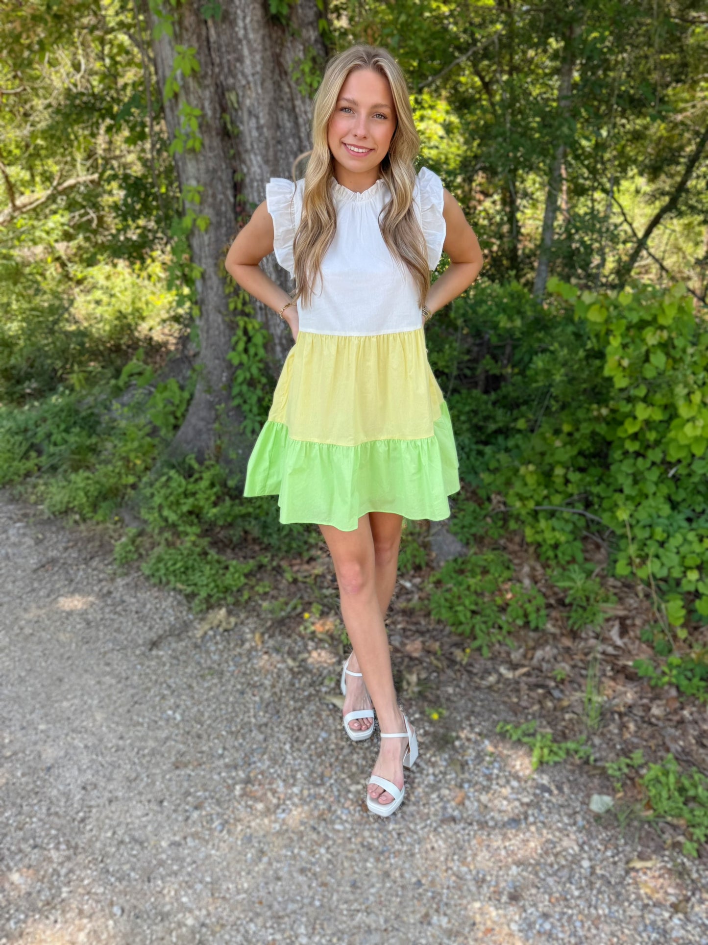 Lemon Lime Dress