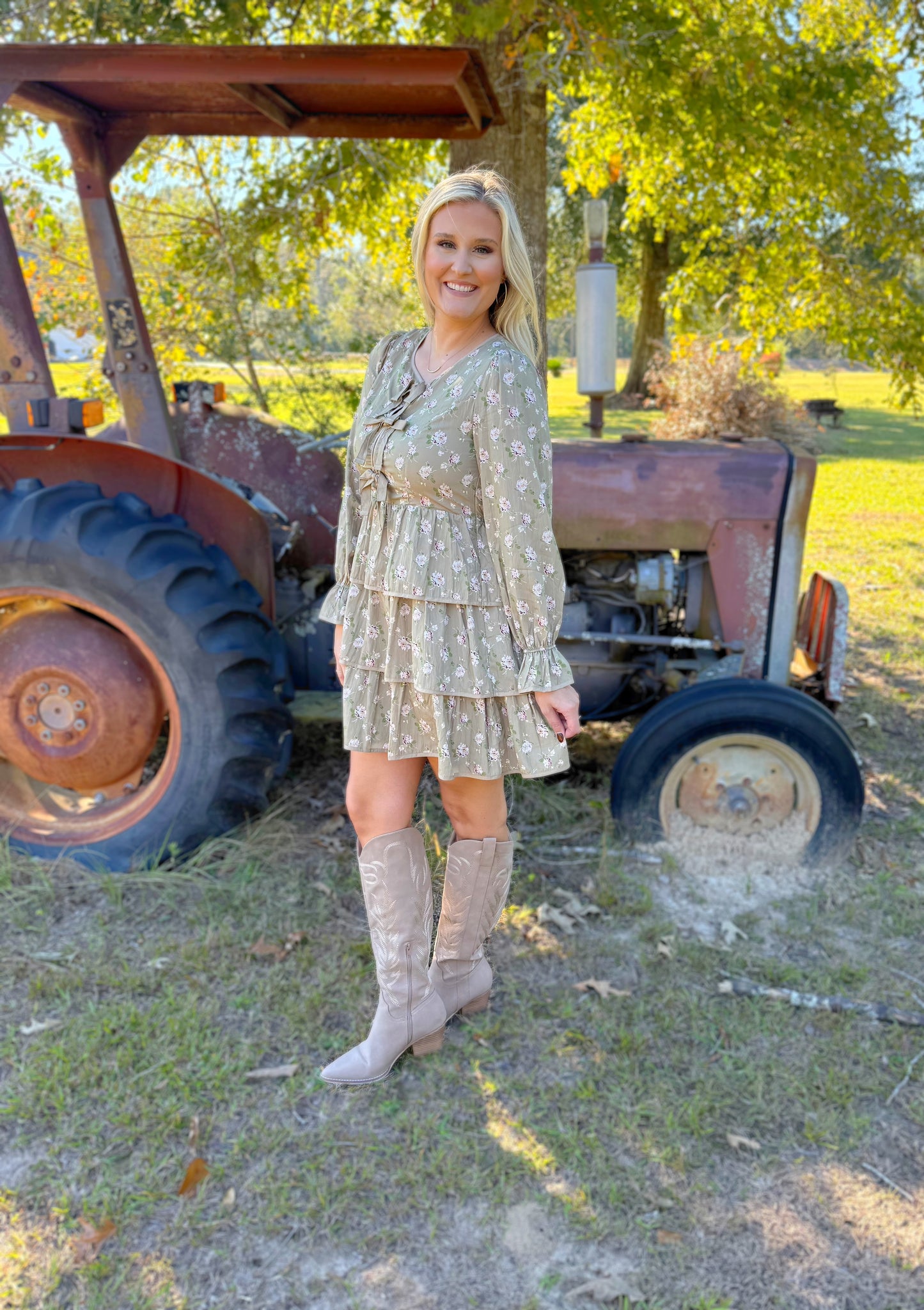 Timeless Taupe Dress