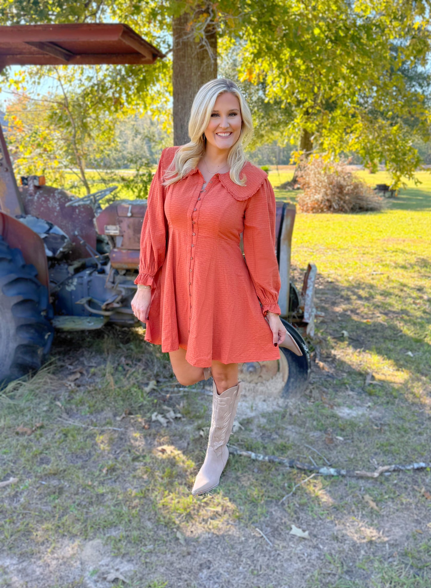 Fall Dolled Up Dress