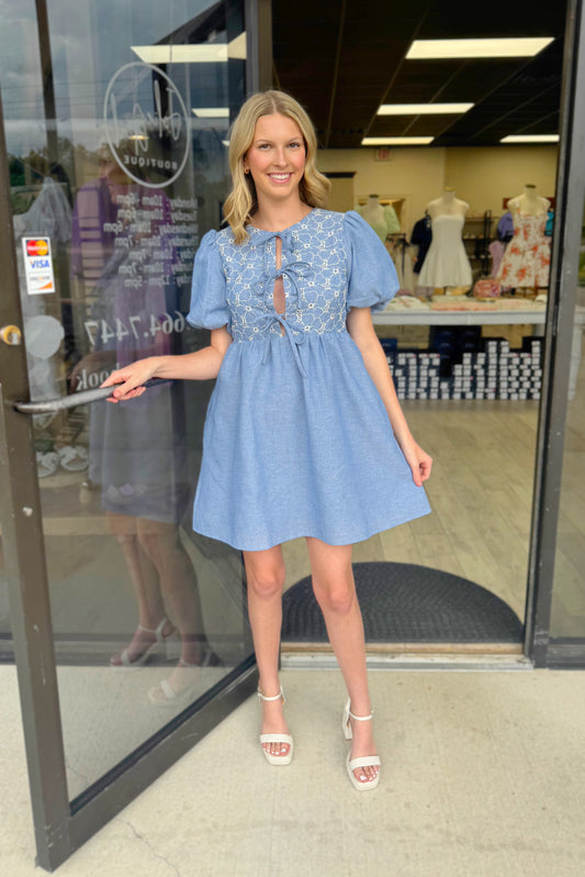 Dandelion Denim Dress