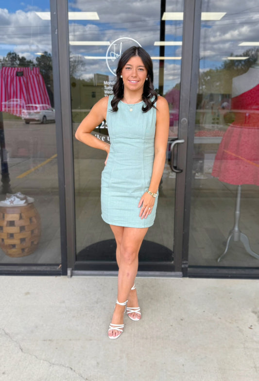 Annie Denim Mini Dress