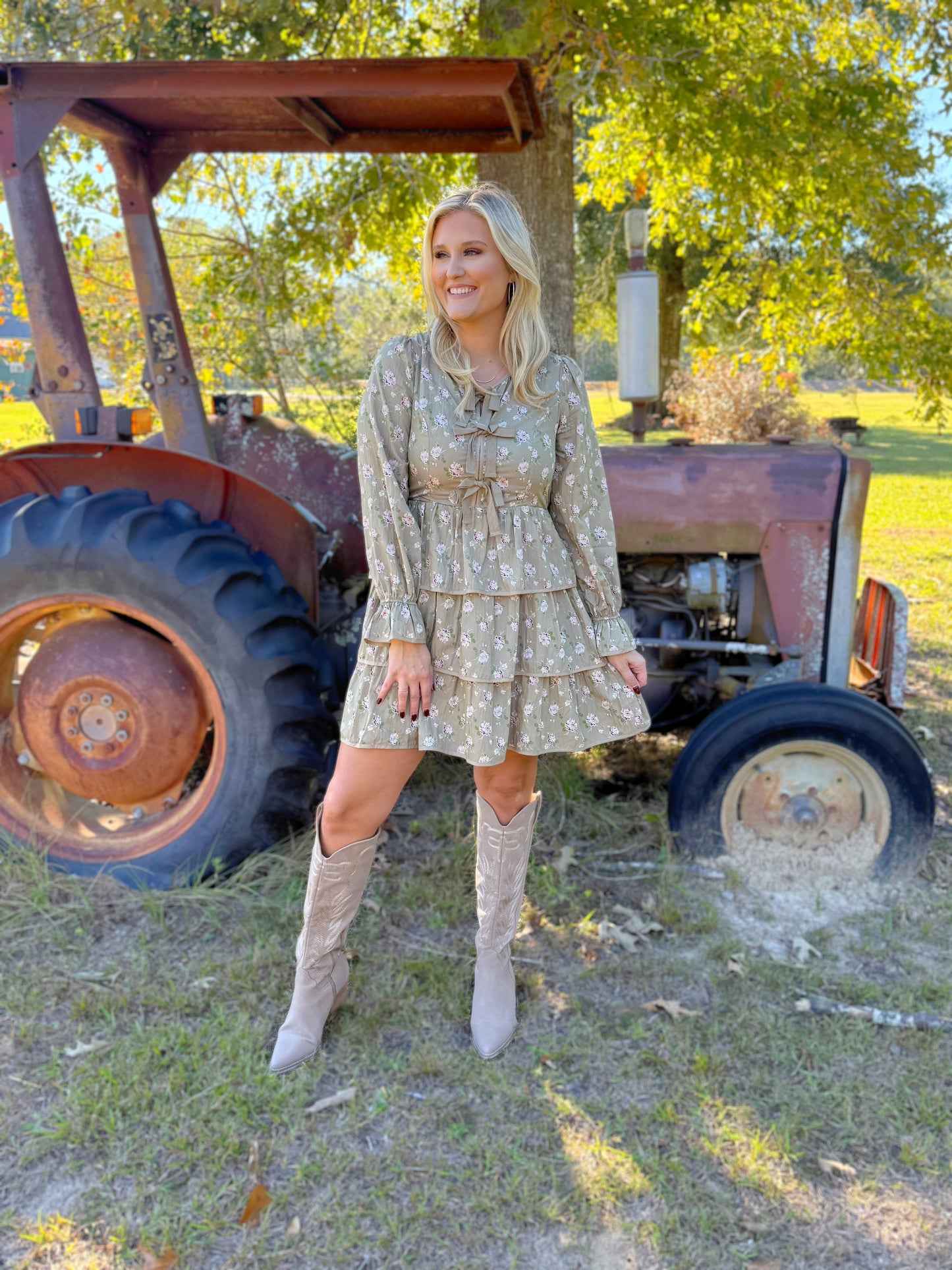 Timeless Taupe Dress