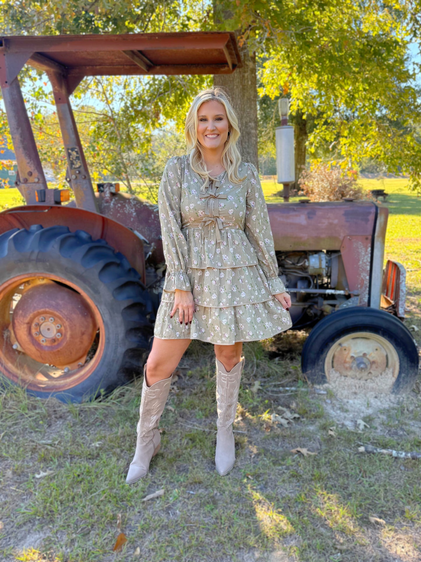 Timeless Taupe Dress