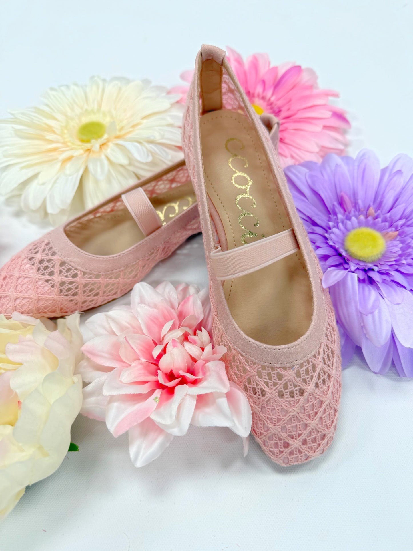 CCOCCI Regina Flats