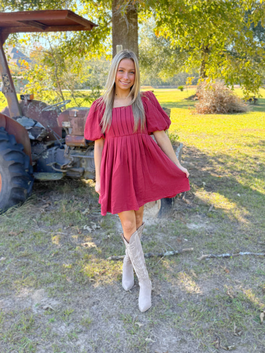 Cranberry Mini Dress