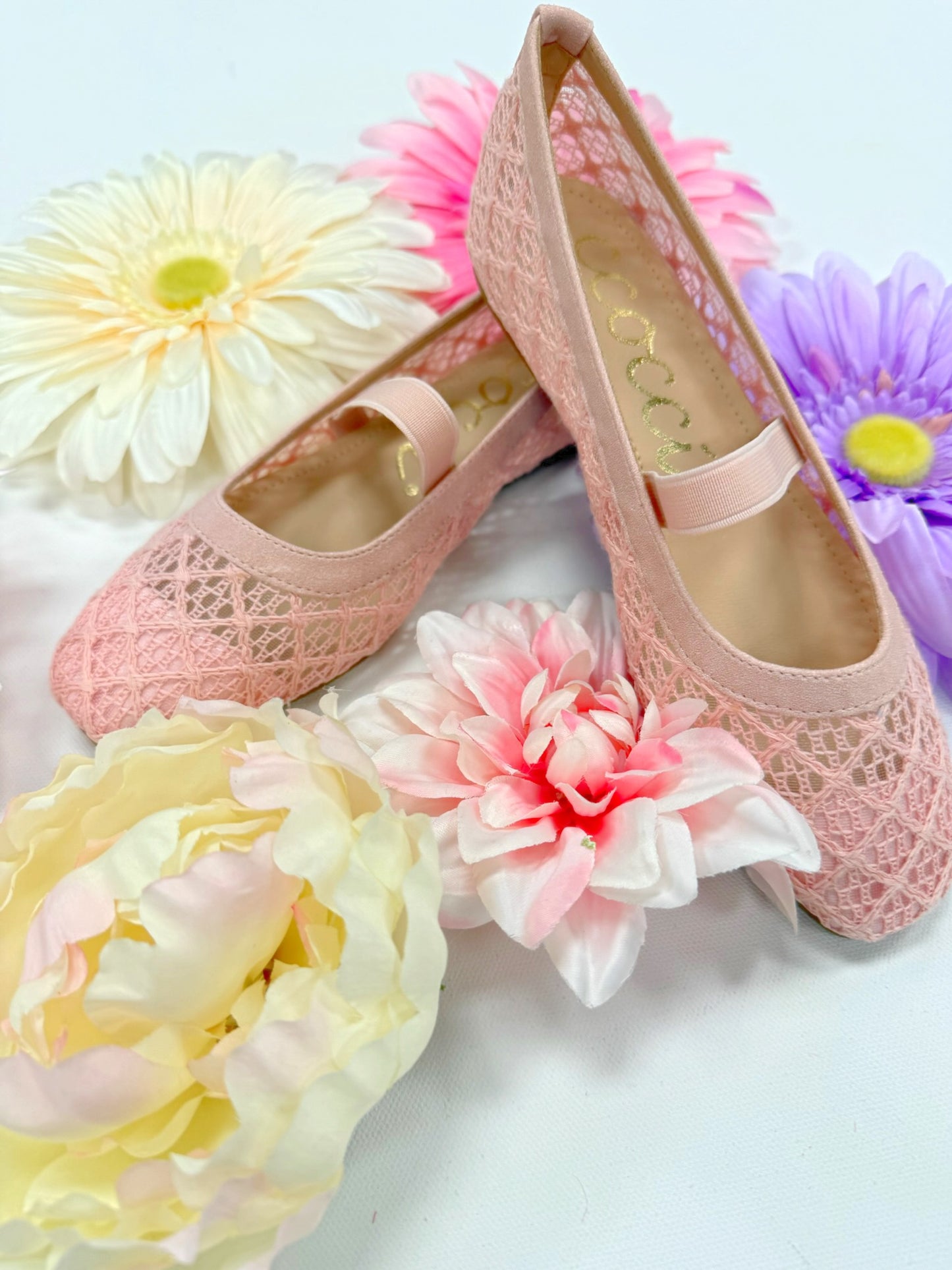 CCOCCI Regina Flats