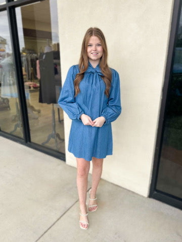 Lavish in Light Denim Dress