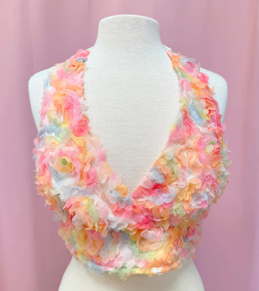 Rainbow Rose Crop Top